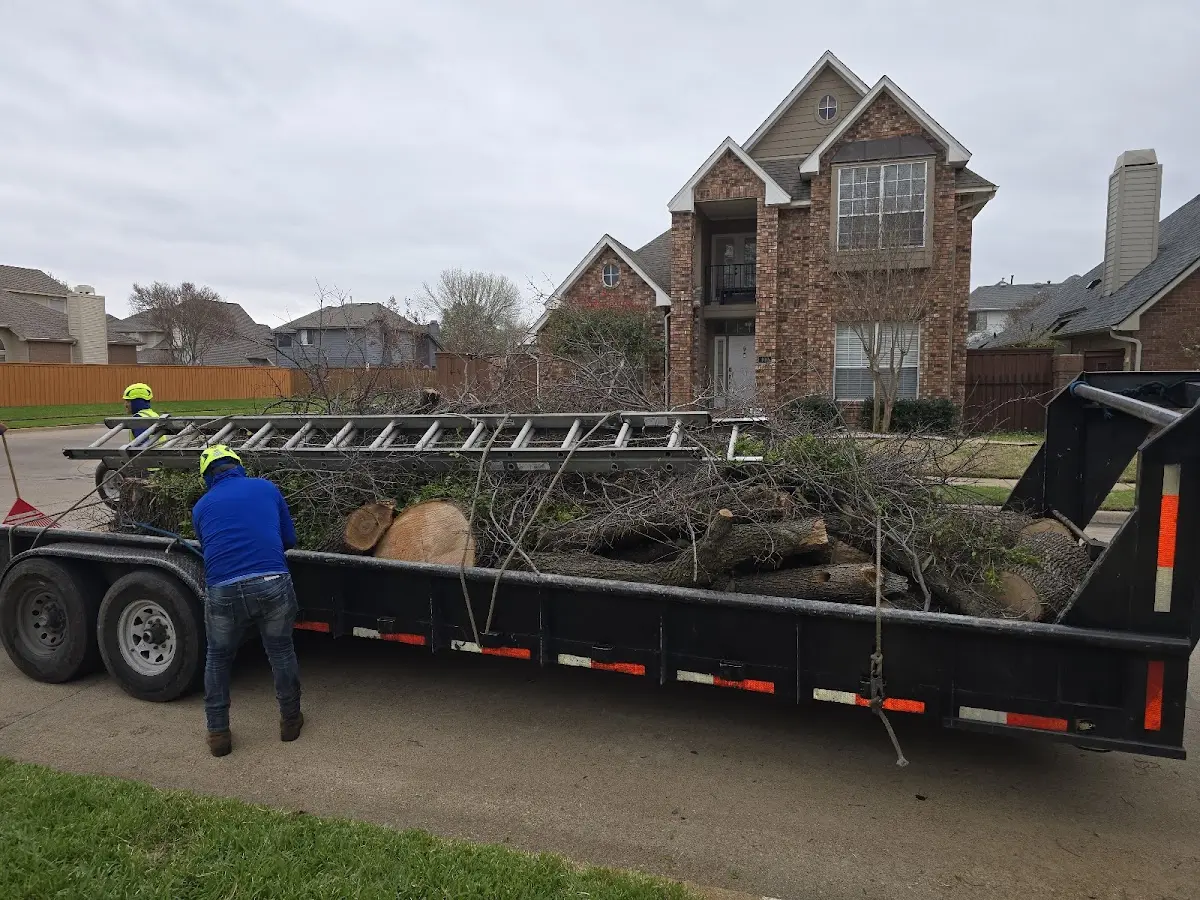 Expert Lot Clearing with proper safety equipment in Falcon